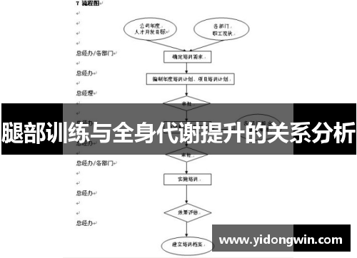 腿部训练与全身代谢提升的关系分析